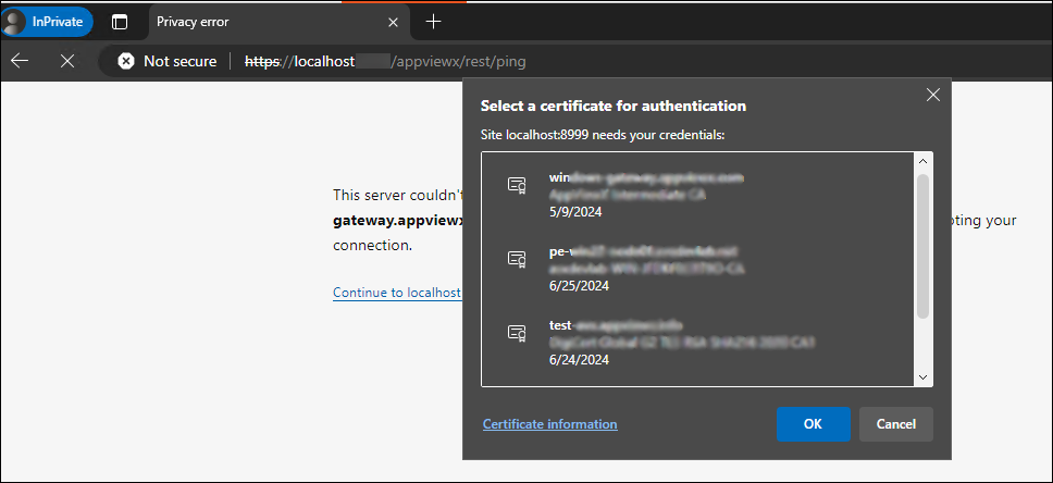 Step 4: Verifying the AppviewX Windows Gateway Installation